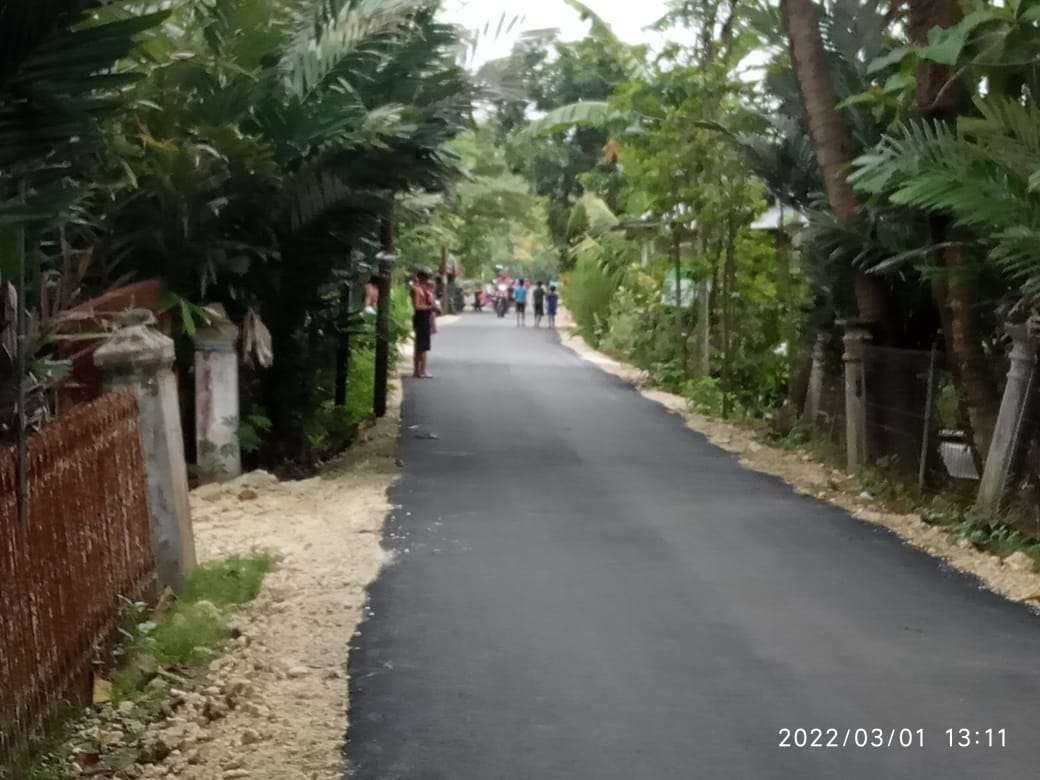 Salah satu sudut kampung Desa Wedi, Kecamatan Kapas Bojonegoro. Di kiri-kanan jalan kampung dipenuhi tanaman salak. (Foto: Sujatmiko/Ngopibareng.id)