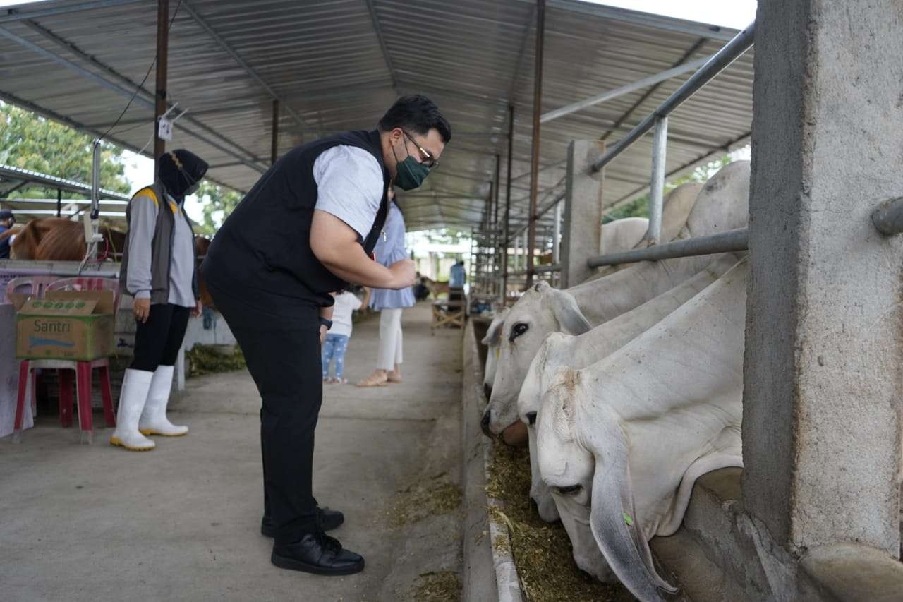 Bupati Kediri apresiasi keberhasilan kelompok tani (Poktan) mengolah limbah sapi. (Foto: Istimewa)