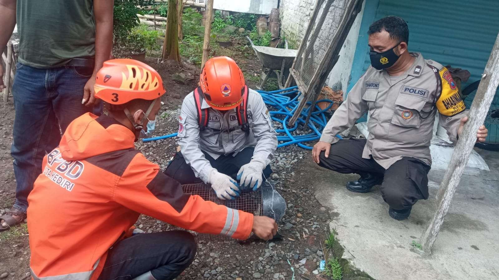 BKSDA Provinsi Jatim mengimbau agar warga waspada, usai buaya muara ditemukan di Sungai Brantas, di Kediri. (Foto: ist)