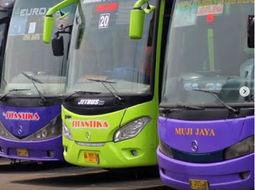 Ilustrasi suttle bus gratis ke Sirkuit Mandalika dari Kemenhub. (Foto: Instagram)