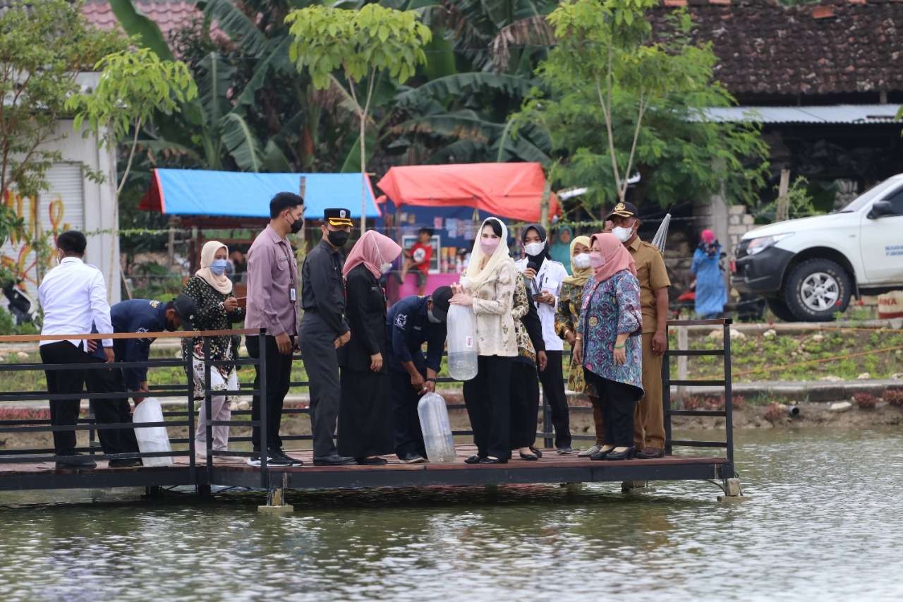 Ketua Forikan Jawa Timur Arumi Bachsin Emil Dardak, saat menebar ikan di embung Desa Sobontoro, Kecamatan Balen, Bojonegoro, Selasa 15 Maret 2022.(Foto: Sujatmiko/ngopibareng.id)