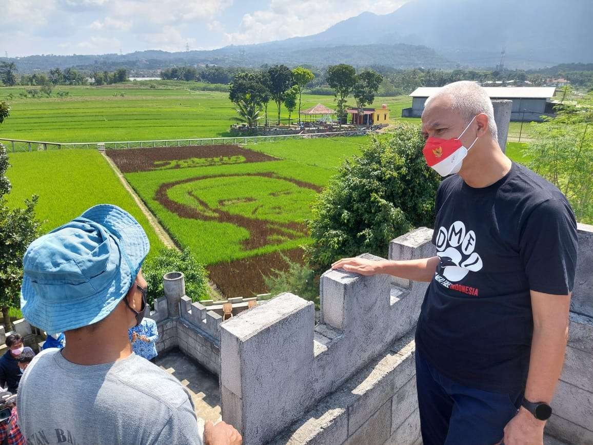 Ganjar penasaran dengan karya seni petani bernama Sidik Gunawan yang melukis wajahnya dengan media padi di tengah sawah. (Foto: Istimewa)