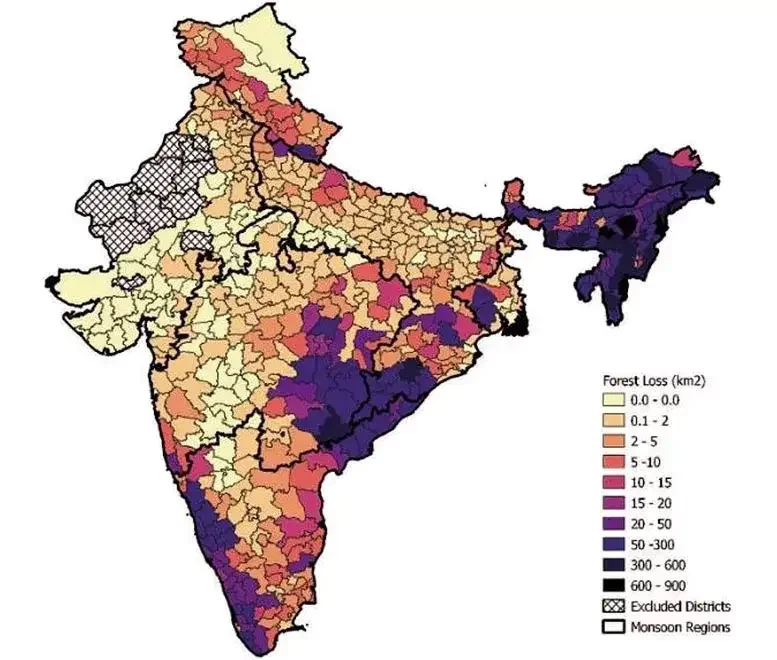 Hutan India yang hilang (Foto: Scitech Daily)