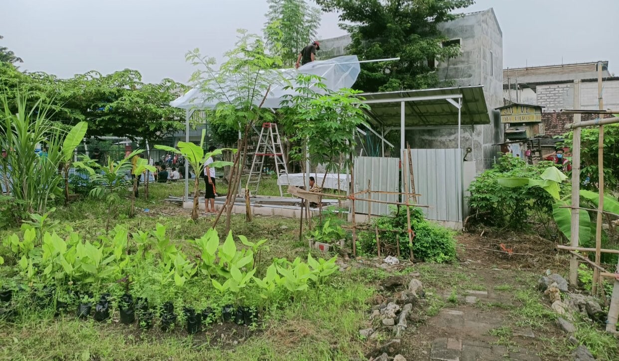 Green house warga Wonocolo yang digarap mahasiswa UK Petra. (Foto: Istimewa)