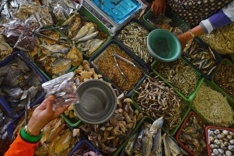 Ilustrasi ikan teri memiliki manfaat bagi kesehatan. (Foto: Istimewa)