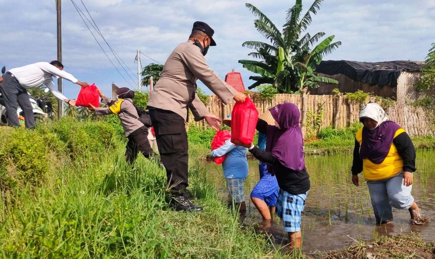 Anggota Polsek Banyuwangi menyerahkan bantuan sembako kepada warga yang sedang bekerja sebagai buruh tani di area persawahan. (Foto: Istimewa)