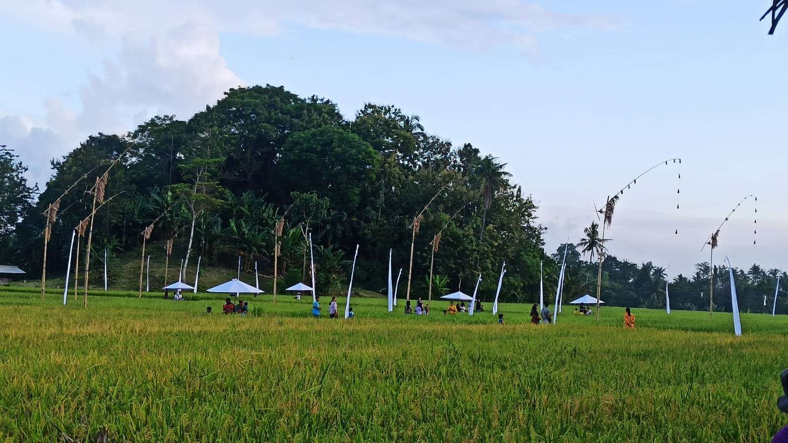 Salah satu sudut wisata Gumuk Aliyan di Desa Aliyan, Kecamatan Rogojampi, Banyuwangi (Foto: Muh Hujaini/Ngopibareng.id)