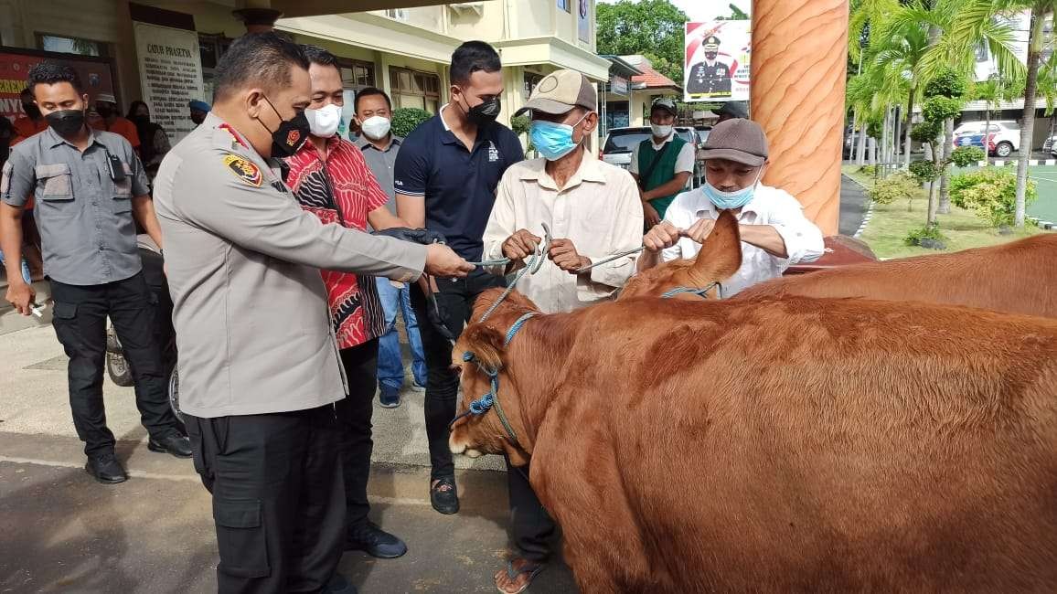 Kapolresta Banyuwangi, Kombespol Nasrun Pasaribu menyerahkan Sapi yang dicuri kepada pemiliknya (foto: Muh Hujaini/Ngopibareng.id)