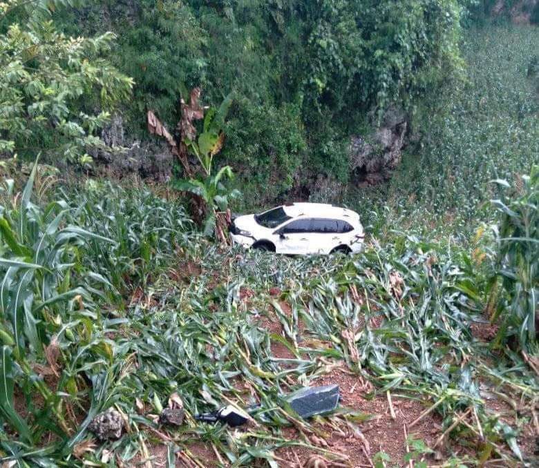 Kondisi mobil mewah yang masuk ke ladang jagung di Tuban (Foto: Dok. Istimewa)