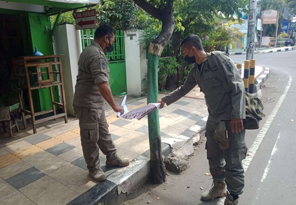 Satpol PP Tuban melakukan penertiban poster atau banner yang di paku di pohon sepanjang Jalan Basuki Rahmat (Dok. Satpol PP Tuban)