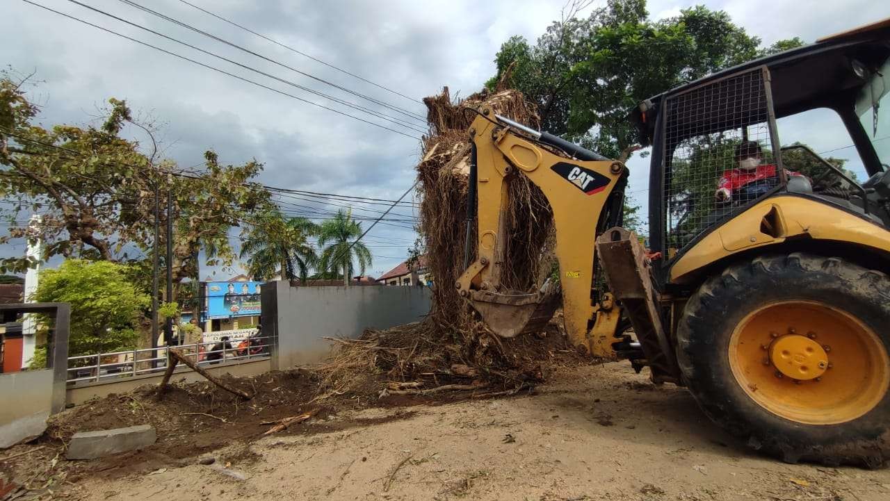 Kisah petugas penebang pohon DLHKP, antara tantangan cuaca hingga hadapi serangan makhluk astral. (Foto: Istimewa)