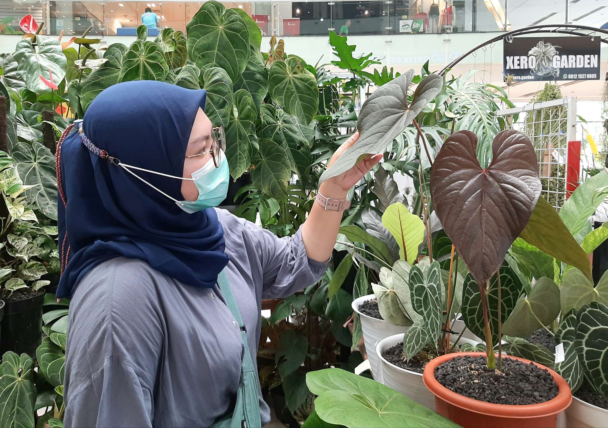 Salah satu pengunjung yang tertarik dengan tanaman anthurium yang memiliki karakter gelap. (Foto: Pita Sari/Ngopibareng.id)