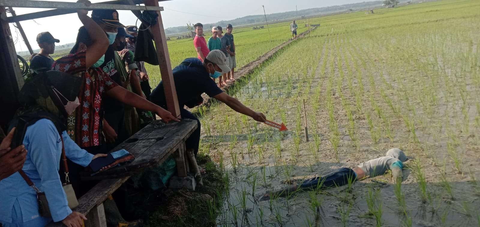 Penemuan jenazah petani meninggal saat memperbaiki jebakan tikus beraliran listrik. (Foto: Ahmad Sampurno/Ngopibareng.id)