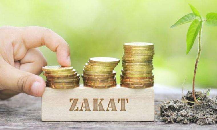 Zakat dalam satu ilustrasi.