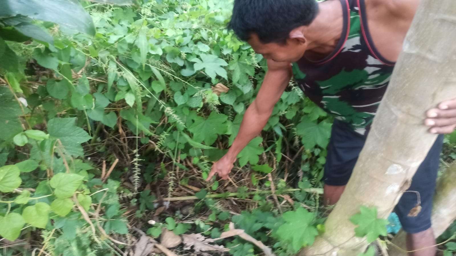 Juru kunci makam menunjukkan lokasi ditemukannya benda diduga granat di area makam. (Foto: Muh. Hujaini/Ngopibareng.id)