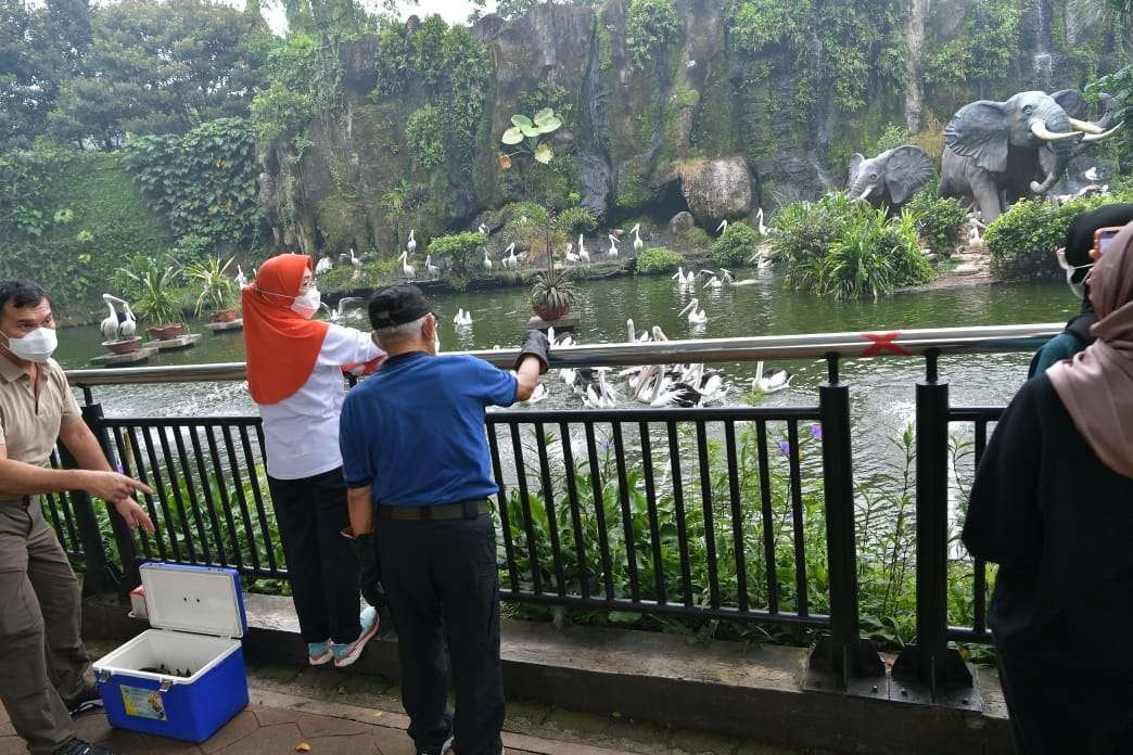 Wapres beserts istri di depan sangkar burung Pelikan di Taman Marga Satwa Ragunan (Foto: Setwapres)