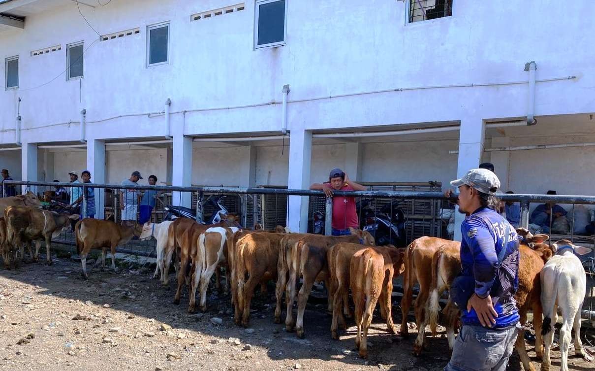 Aktivitas di salah satu pasar hewan yang ada di Banyuwangi, Jawa Timur. (Foto: Istimewa)