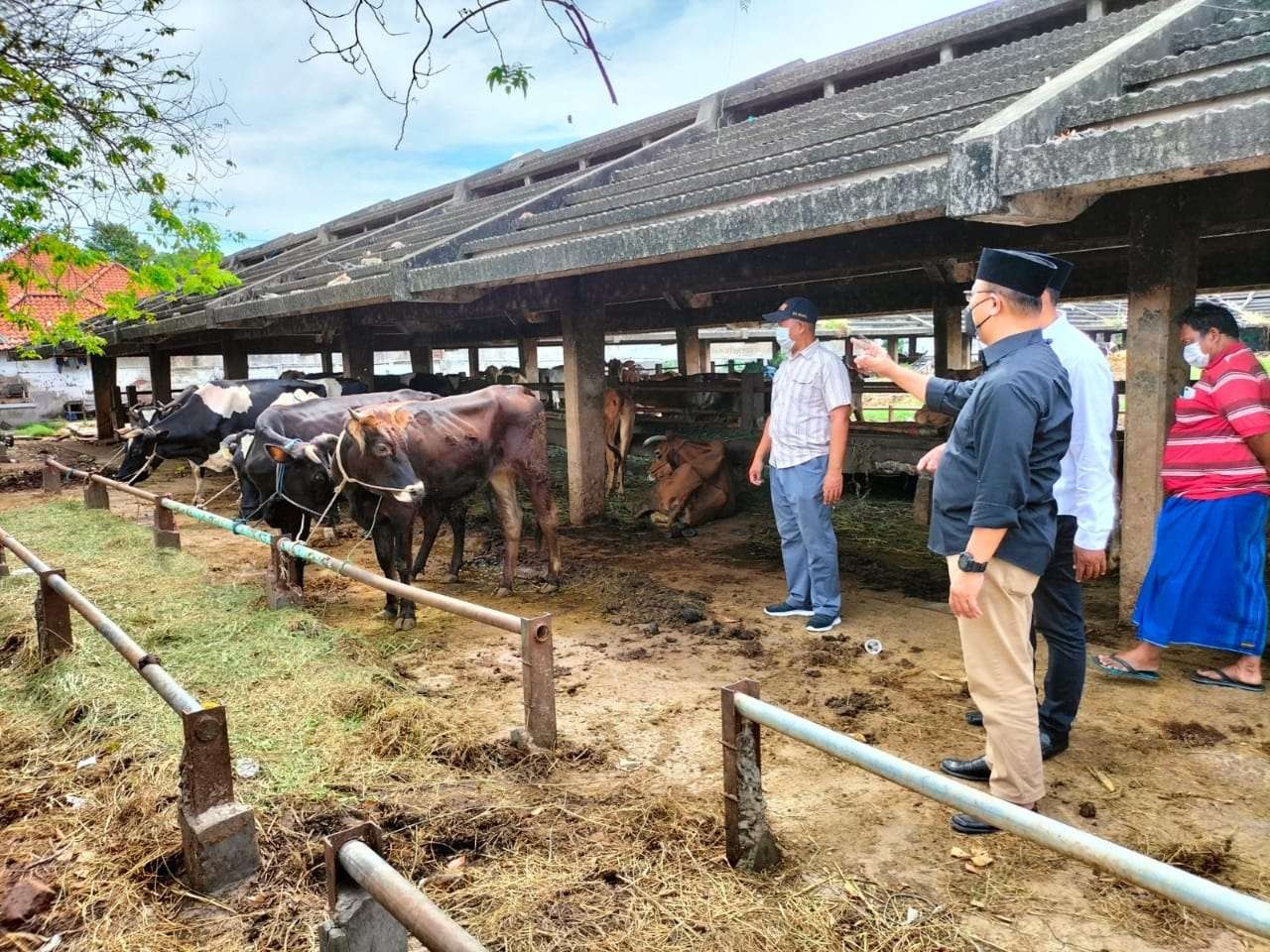 Ilustrasi RPH Surabaya yang tetap beroperasi ditengah merebaknya wabah PMK. (Foto: Istimewa)