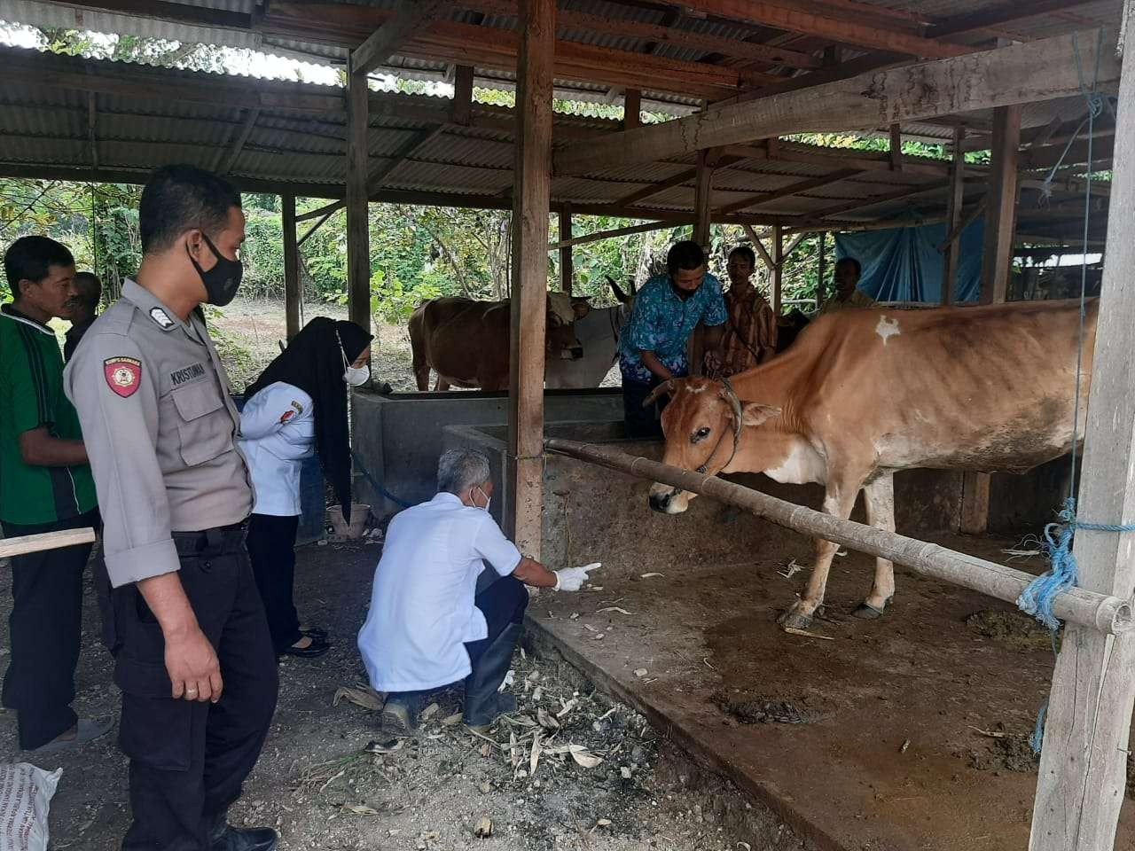 Tim gabungan dari Polres, Kodim Bojonegoro dan Dinas Peternakan dan Perikanan Bojonegoro melakukan Sidak di Pasar Hewan di Bojonegoro, Kamis 19 Mei 2022. (Foto: dok.Polres Bojonegoro/Ngopibareng.id)