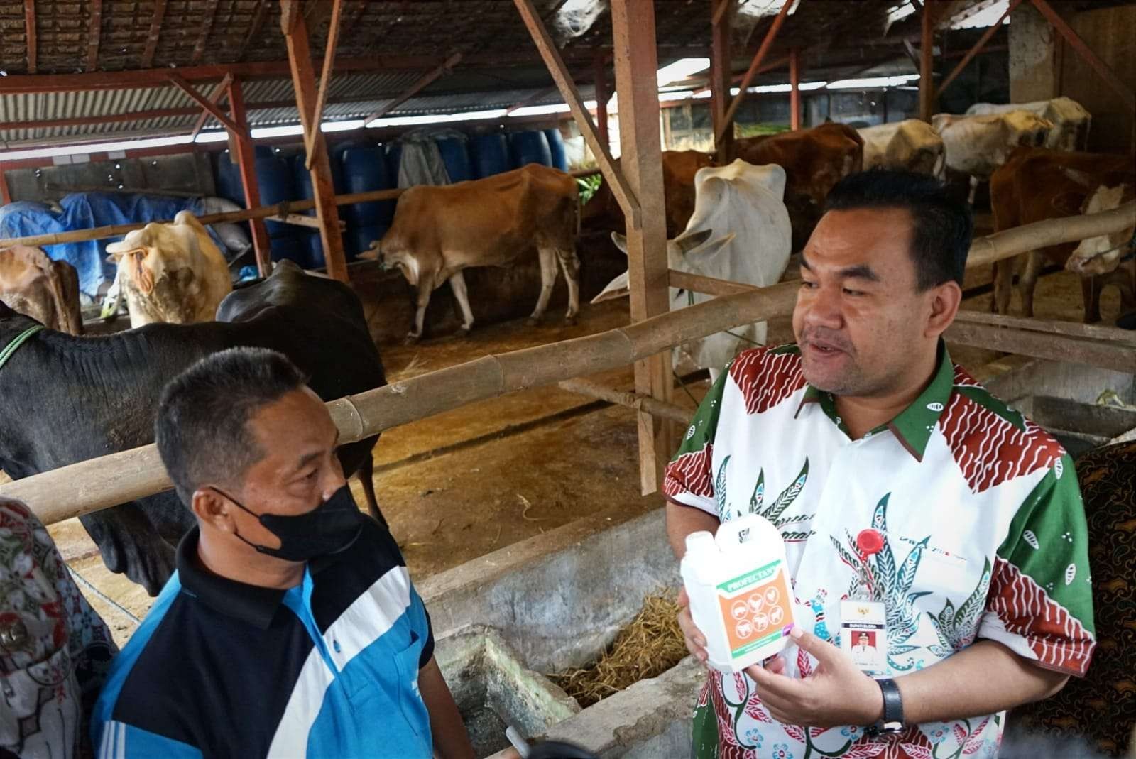 Bupati Blora Arief Rohman saat berada di kandang Komunal Desa Palon Kecamatan Jepon. (Foto: Istimewa)