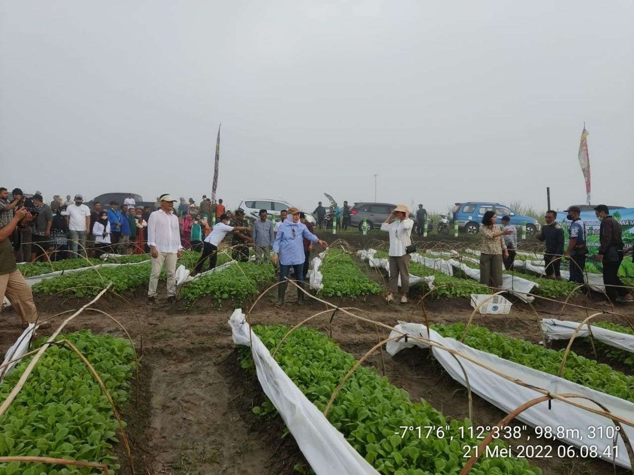 Penyemaian bibit tembakau jenis virginia bersama di Desa Drokilo, Kecamatan Kedungadem, Kabupaten Bojonegoro, Sabtu 21 Mei 2022.(Foto: dok.Humas Pemkab Bojonegoro/ngopibareng.id)