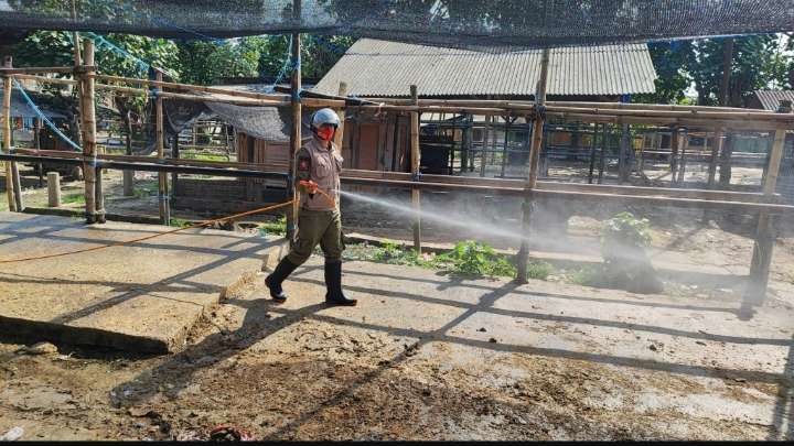 Proses disinfeksi di salah satu peternakan di Malang (Foto: Lalu Theo/Ngopibareng.id