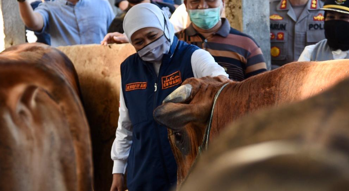 Gubernur Jawa Timur Khofifah Indar Parawansa menyiapkan juru sembelih halal (Juleha) untuk Idul Adha Juli 2022. (Foto: Kominfo Jatim)