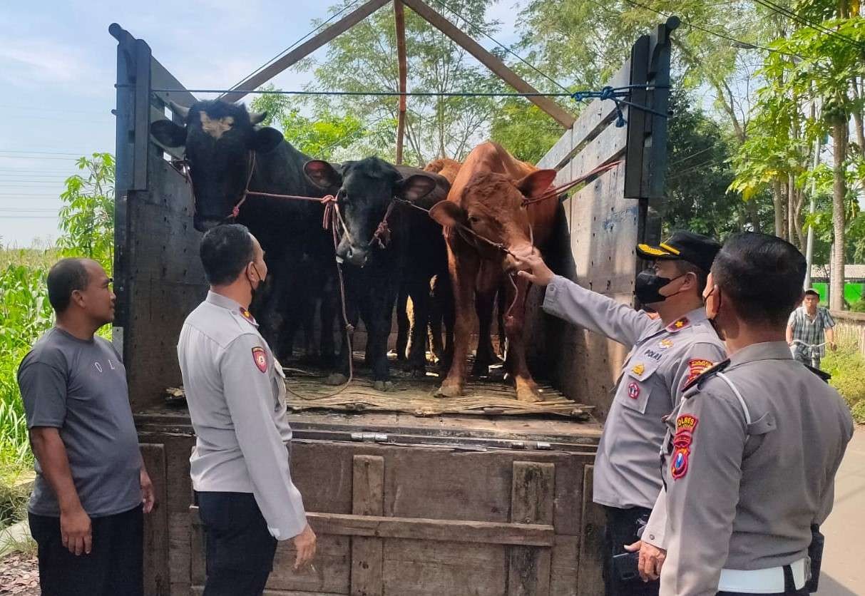 Tim gabungan dari Polresta dan Pemkot Probolinggo melakukan penyekatan jalan menuju Pasar Hewan di Jrebeng Kidul. Tujuannya untuk membendung sebaran Penyakit Mulut dan Kuku atau PMK. (Foto: Ikhsan Mahmudi/Ngopibareng.id)