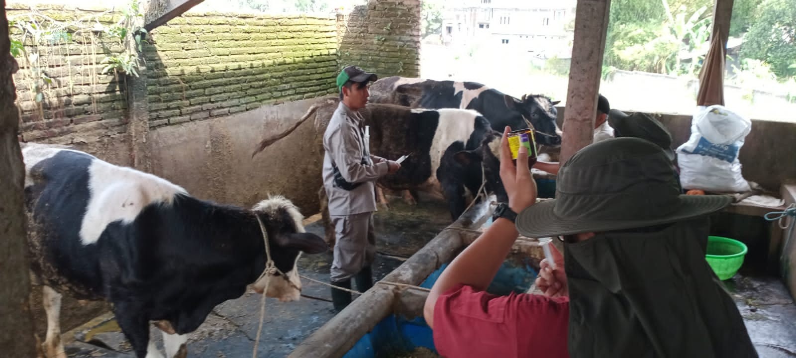 Salah satu peternakan di Malang Raya (Foto: Lalu Theo/ngopibareng.id)