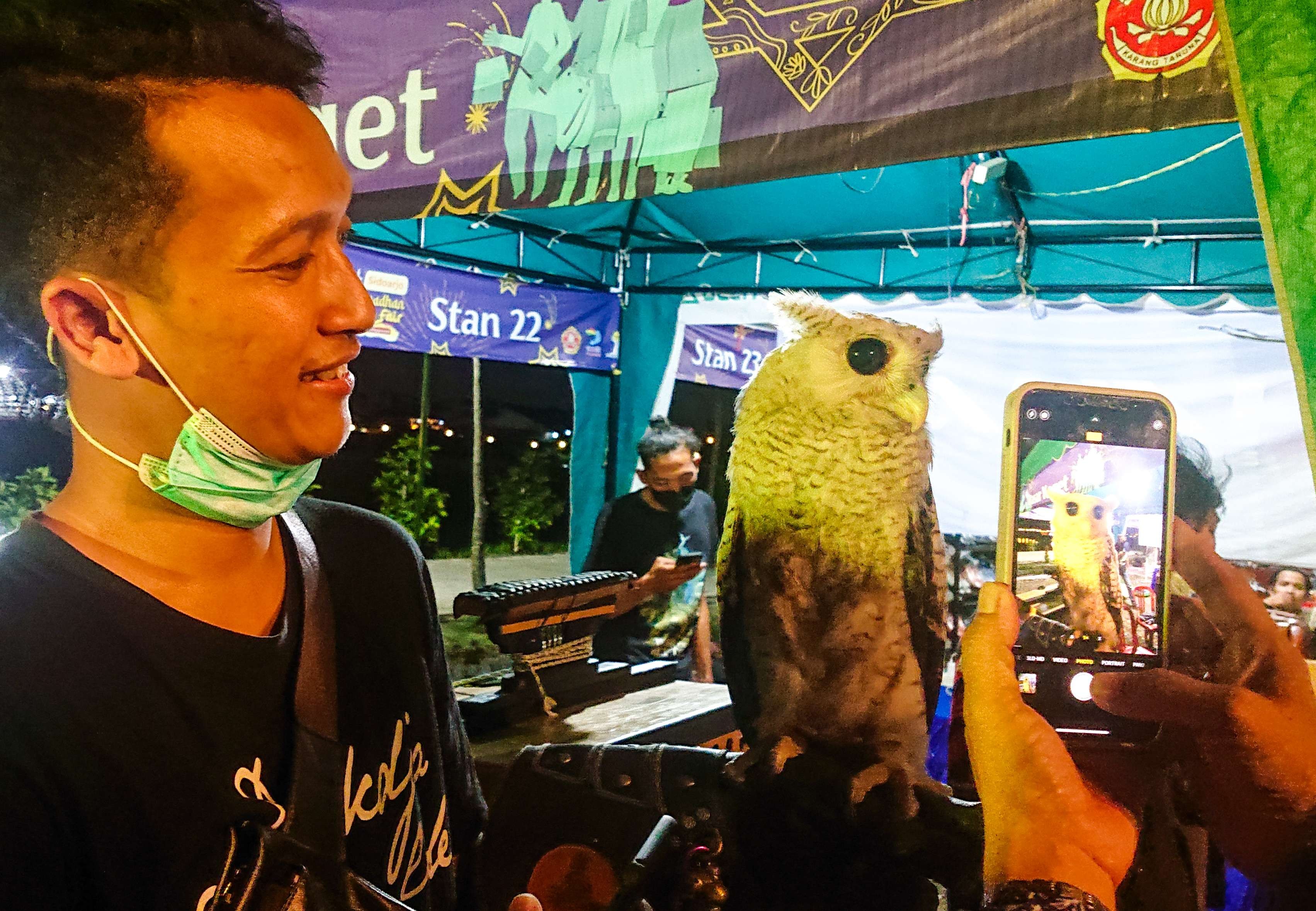 Kolektor burung hantu di Sidoarjo menunjukkan jenis Bubo Sumatranus. (Foto: Aini Arifin/Ngopibareng.id)