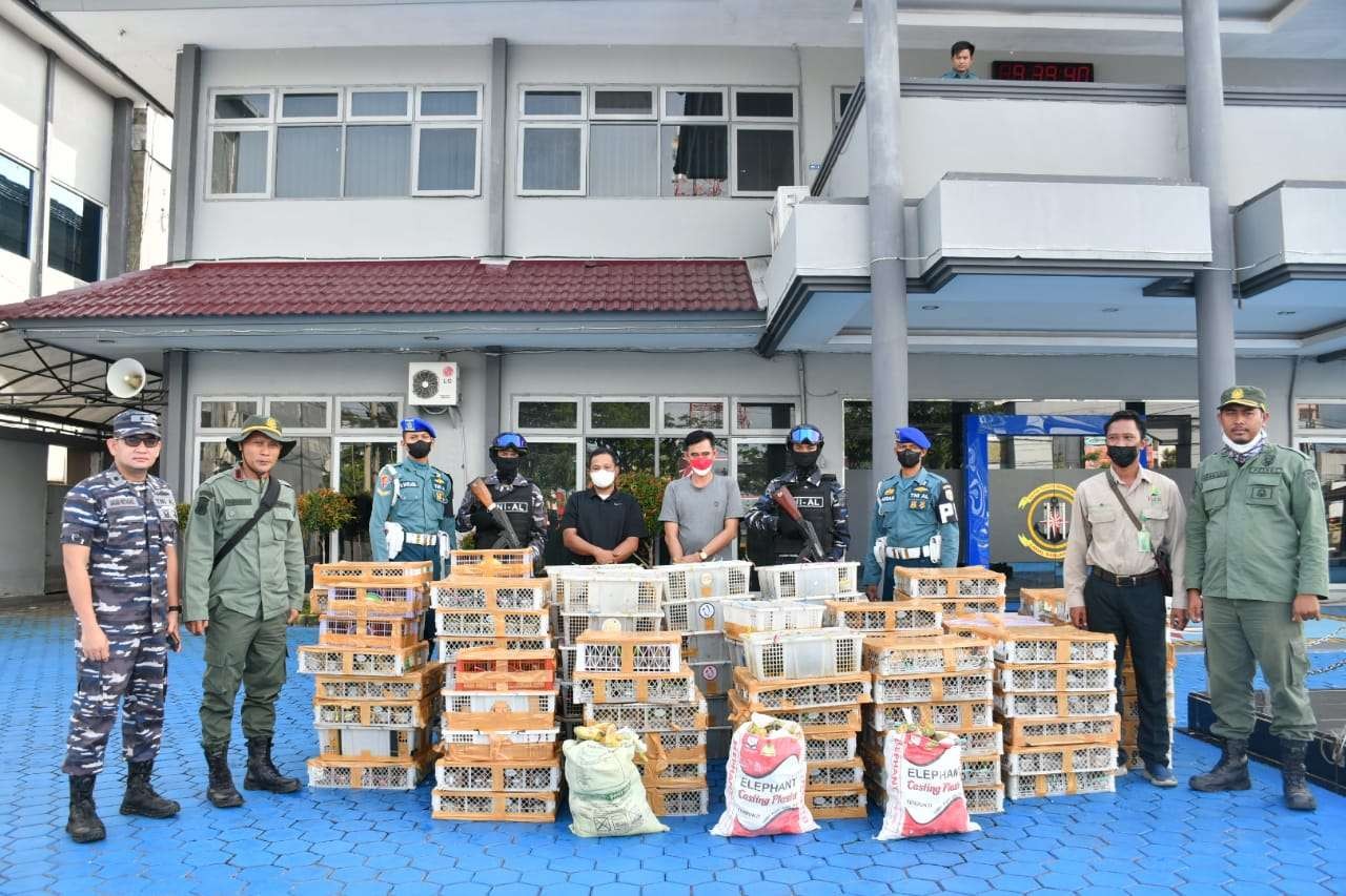 TNI AL Lanal Banjarmasin berhasil menggaglkan pengiriman burung ilegal. (Foto: Istimewa)