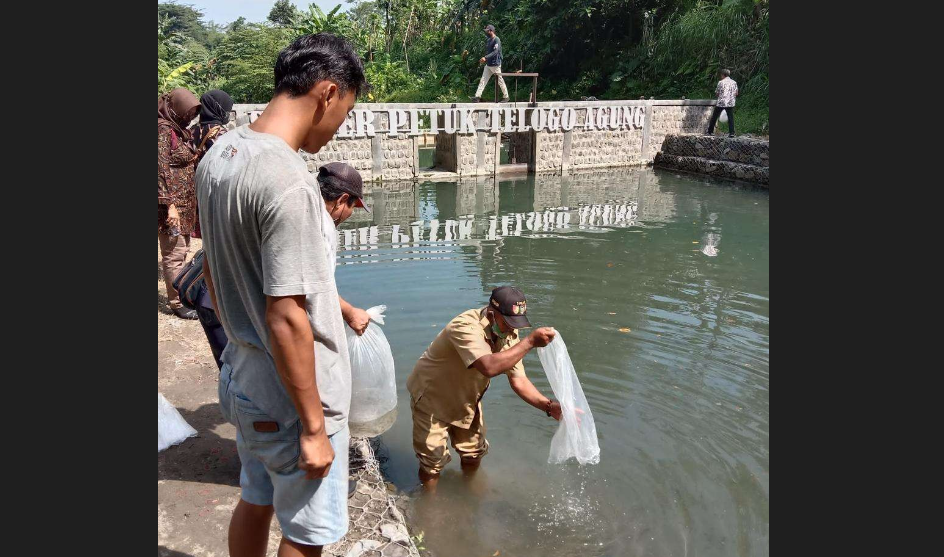 Jaga ketahanan pangan, Pemkab Kediri tebar ratusan ribu benih ikan. (Foto: Istimewa)