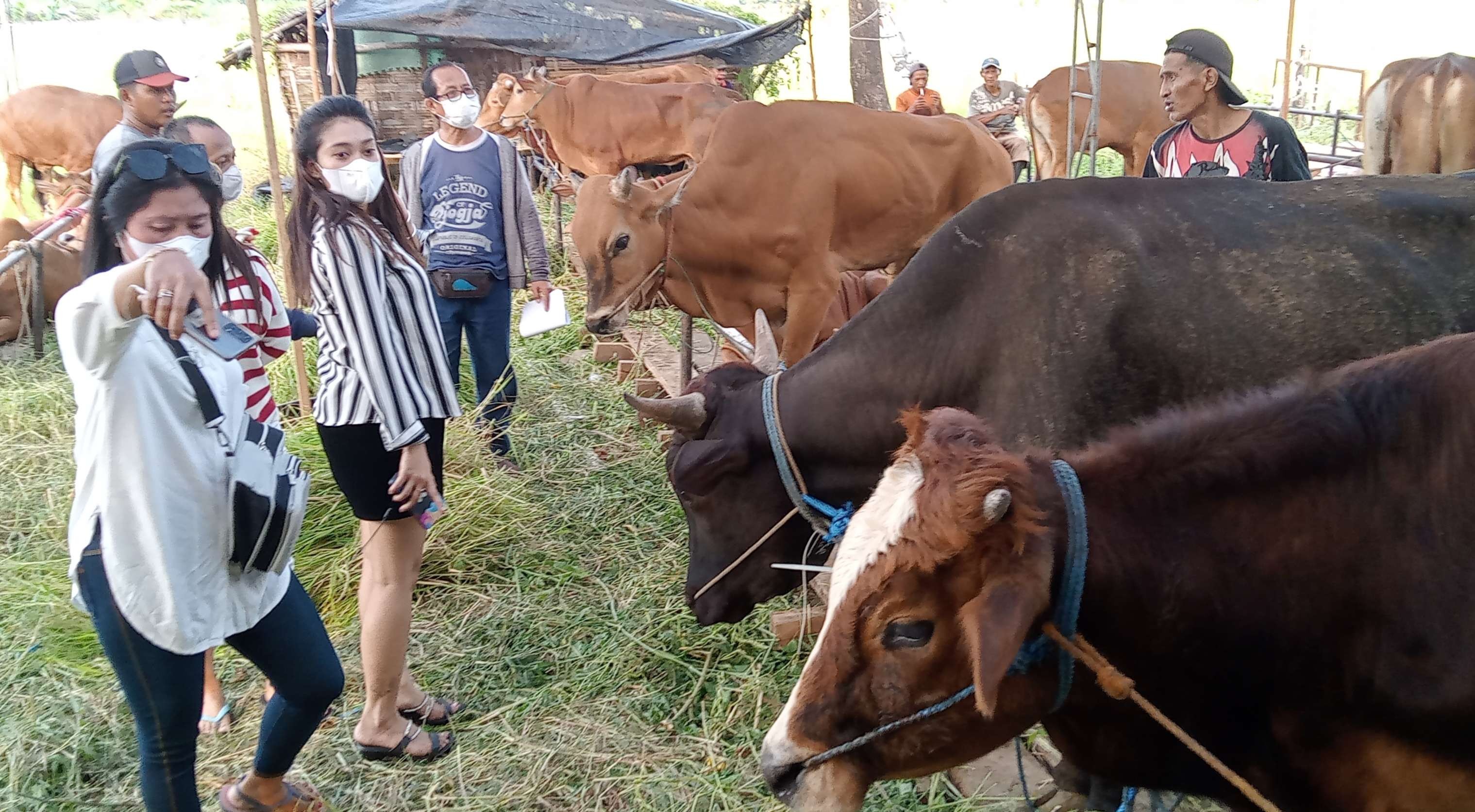 Masyarakat yang akan berkurban berdatangan di pasar hewan dadakan kawasan Merr Jl Soekarno Hatta Rungkut, Surabaya. (Foto: Asmanu Sudarso/Ngopibareng.id)