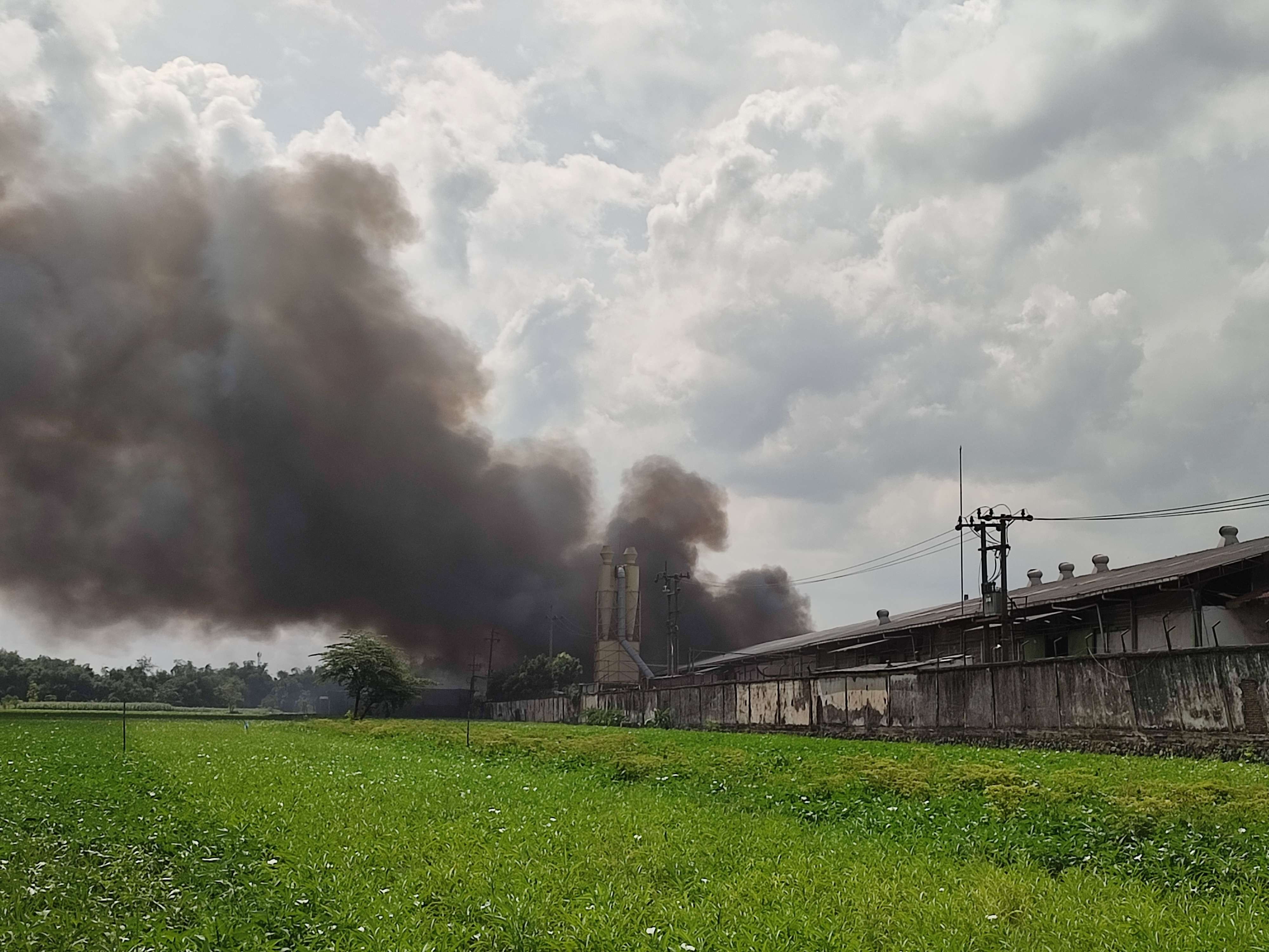 Asap tebal membumbung tinggi di pabrik minyak kelapa, Mojokerto.(Deni Lukmantara/Ngopibareng)