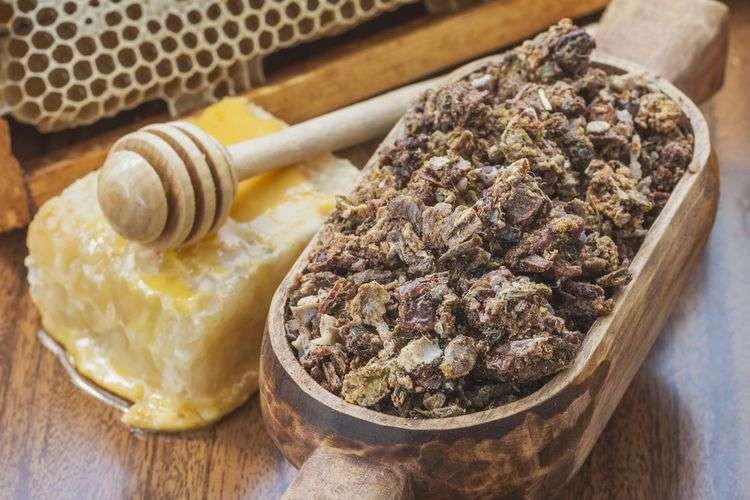 Ilustrasi manfaat propolis, getah lebah yang tidak kalah dari madu. (Foto: Istimewa)