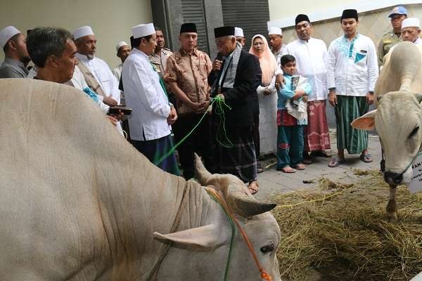 Hewan kurban siap disembelih di suatu masjid. (Foto: Istimewa)