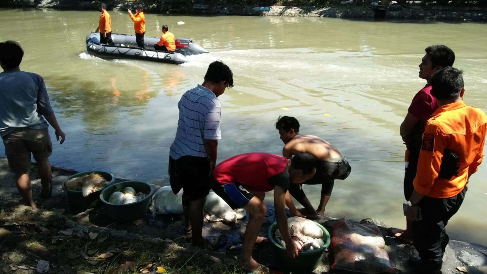 Temuan BPBD Surabaya, warga yang cuci jeroan hewan kurban di Surabaya. (Foto: Dok BPBD Surabaya)