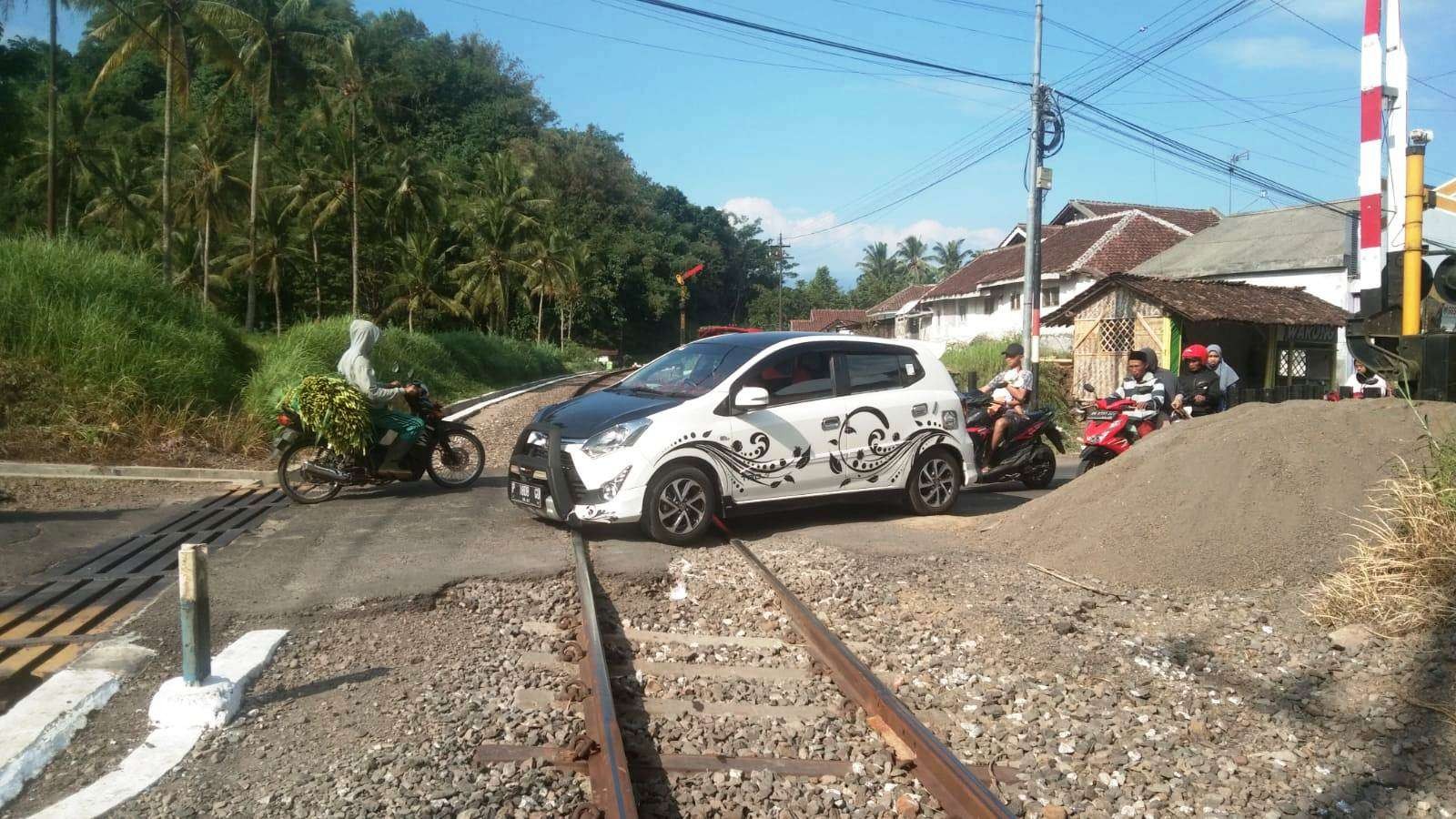 Kondisi saat ini di JPL 183 Kalisat, Jember. Jalur ini akan dilakukan perawatan untuk meningkatkan keandalan (foto:istimewa)