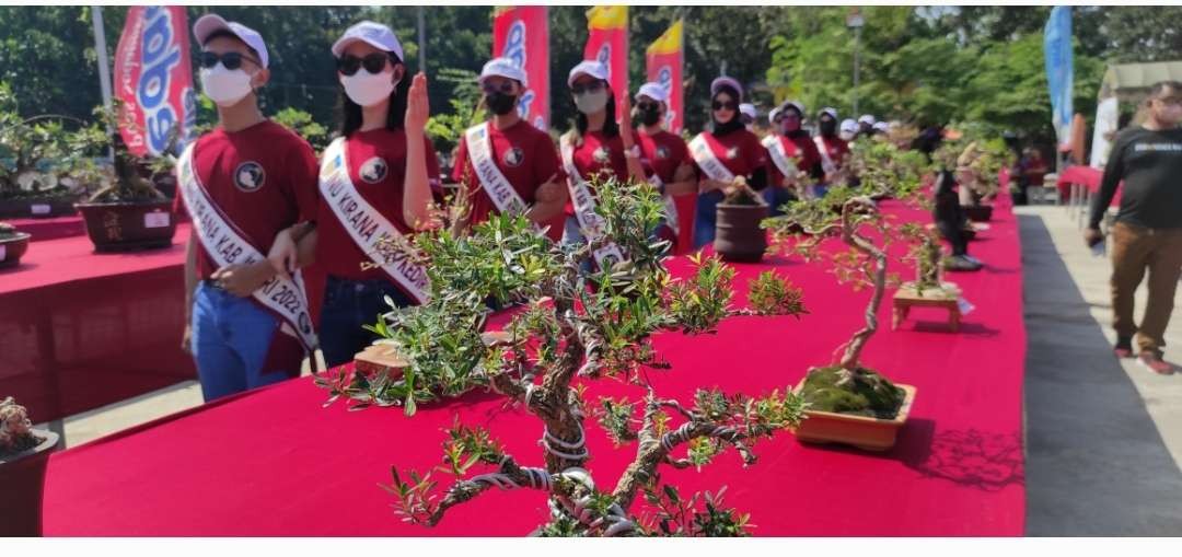 Deretan bonsai yang dipajang di Pameran Bonsai 2022 di lokasi Wisata, Talasari, Desa Wonoasri, Kecamatan Grogol, Kabupaten Kediri. (Foto: Istimewa)