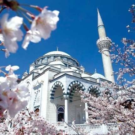 Masjid terindah di Jepang. Keelokan untuk beribadah bagi umat Islam di Negeri Matahari Terbit. (Foto: Travellers)