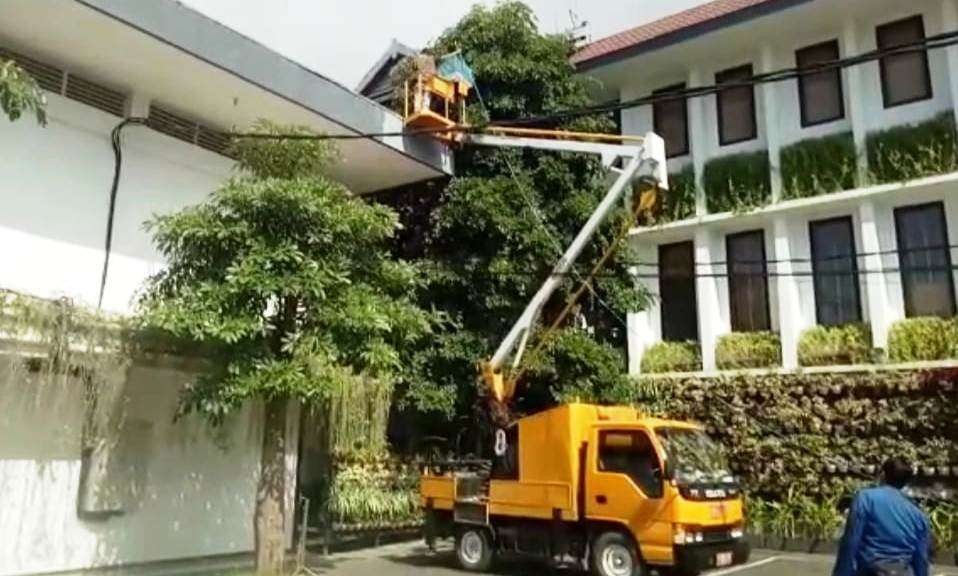 Petugas pemadam kebakaran berusaha mengamankan monyet yang masuk ke kompleks Pemkab Banyuwangi (Foto: Istimewa)