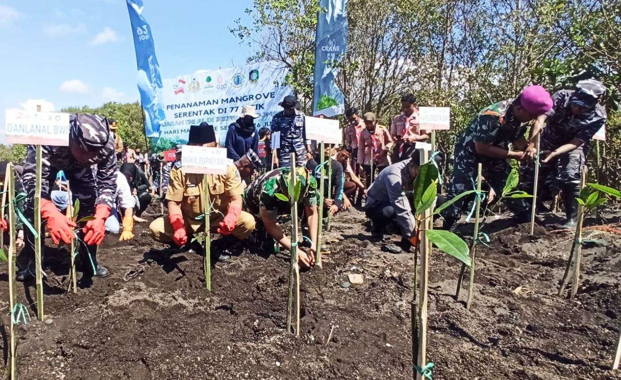 Penanaman mangrove di kawasan pantai Cemara Banyuwangi (foto: Muh Hujaini/Ngopibareng.id)