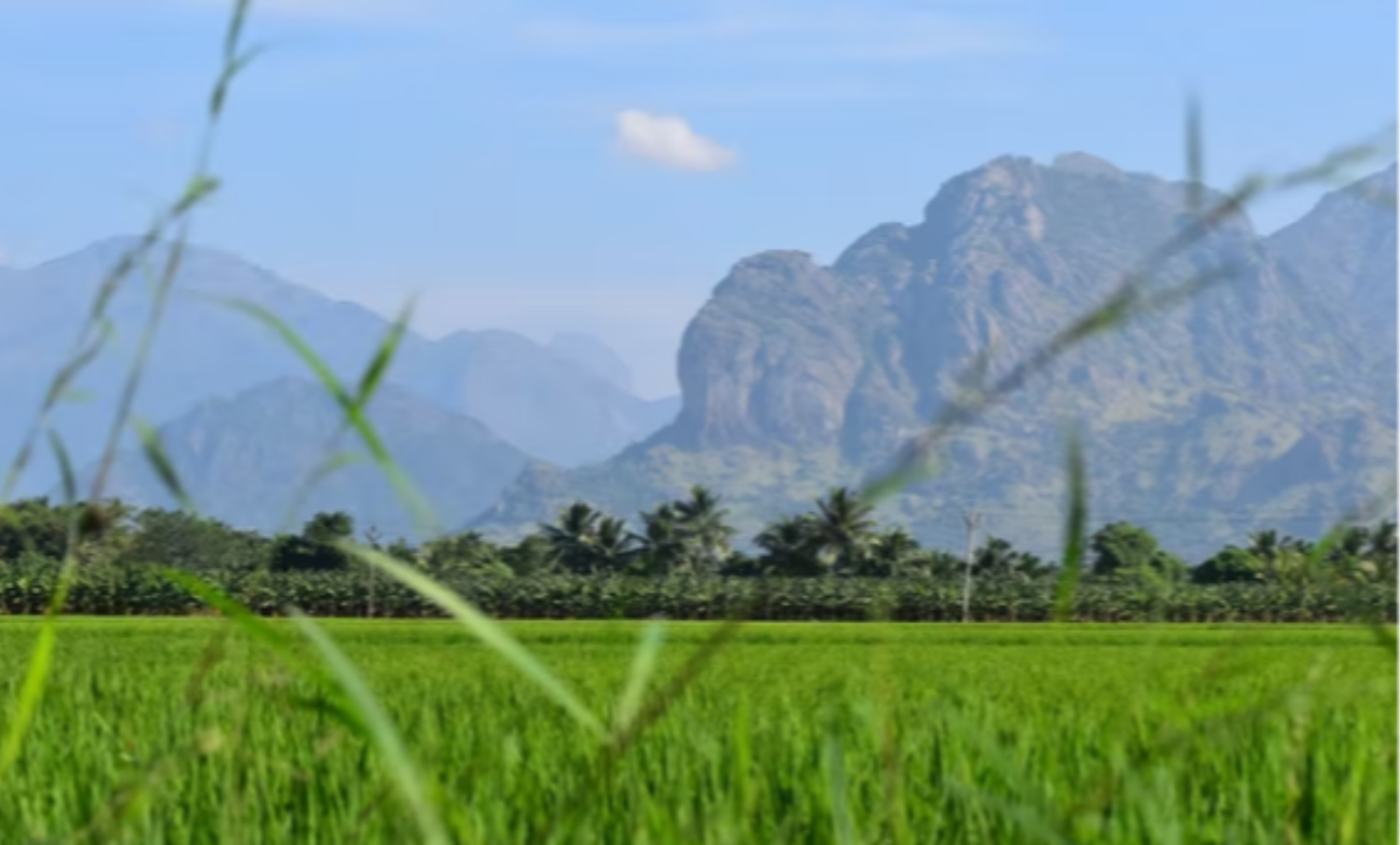 Prakiraan cuaca di wilayah Jawa Timur hari ini, Selasa 26 Juli 2022, didominasi cuaca cerah dan berawan, menurut BMKG Juanda. (Foto: unsplash)