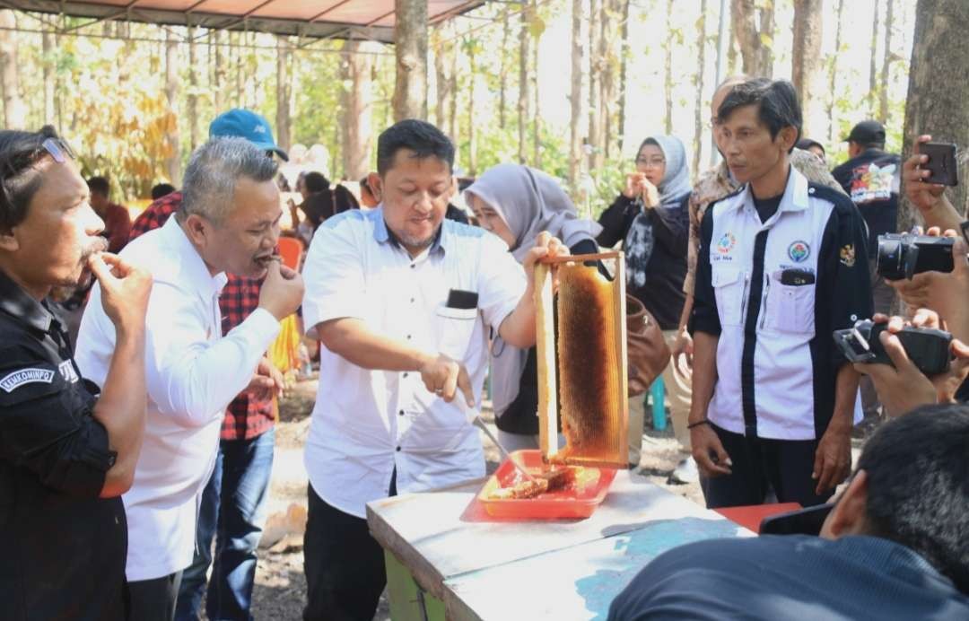 Kampung Madu Kabupaten Mojokerto, tempat penangkaran madu alami di tepi hutan Desa Kemlagi. (Foto : Deni Lukmantara/Ngopibareng)