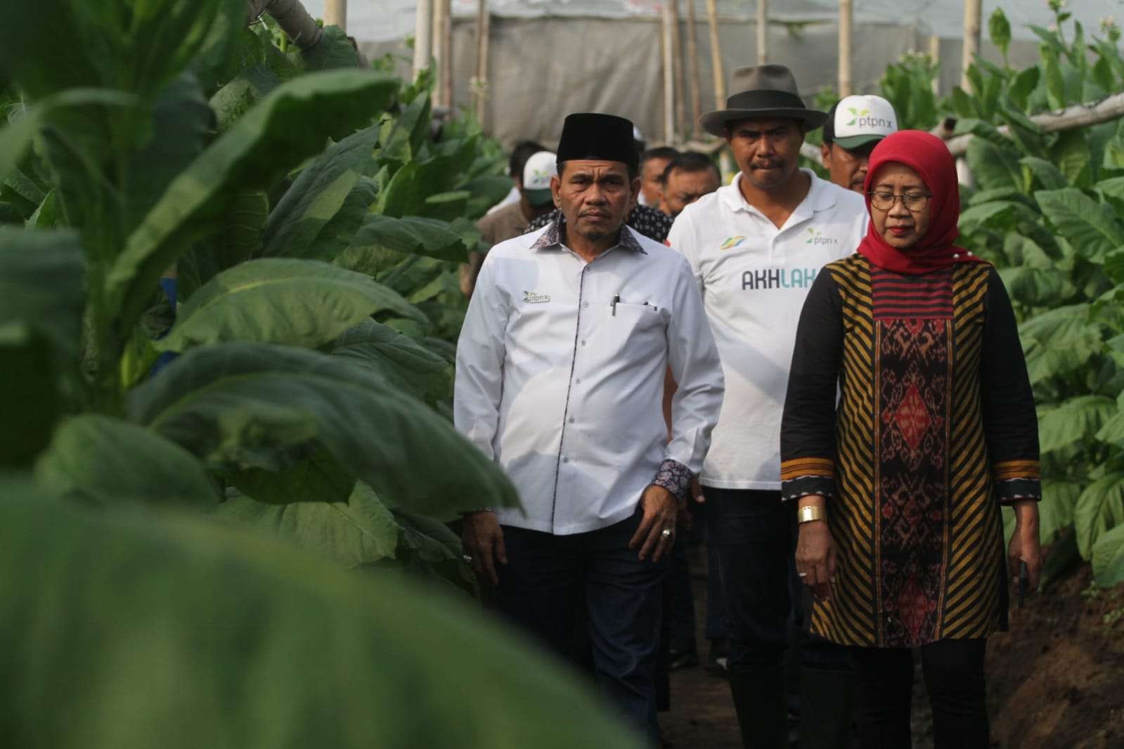 Bupati Klaten, Hj. Sri Mulyani, Dewan Komisaris PTPN X, Direktur PTPN X, Tuhu Bangun Bersama SEVP di acara panen perdana tembakau di Kebun Tembakau Klaten, Kabupaten Klaten, 30 Juli 2022. (Foto: Istimewa)