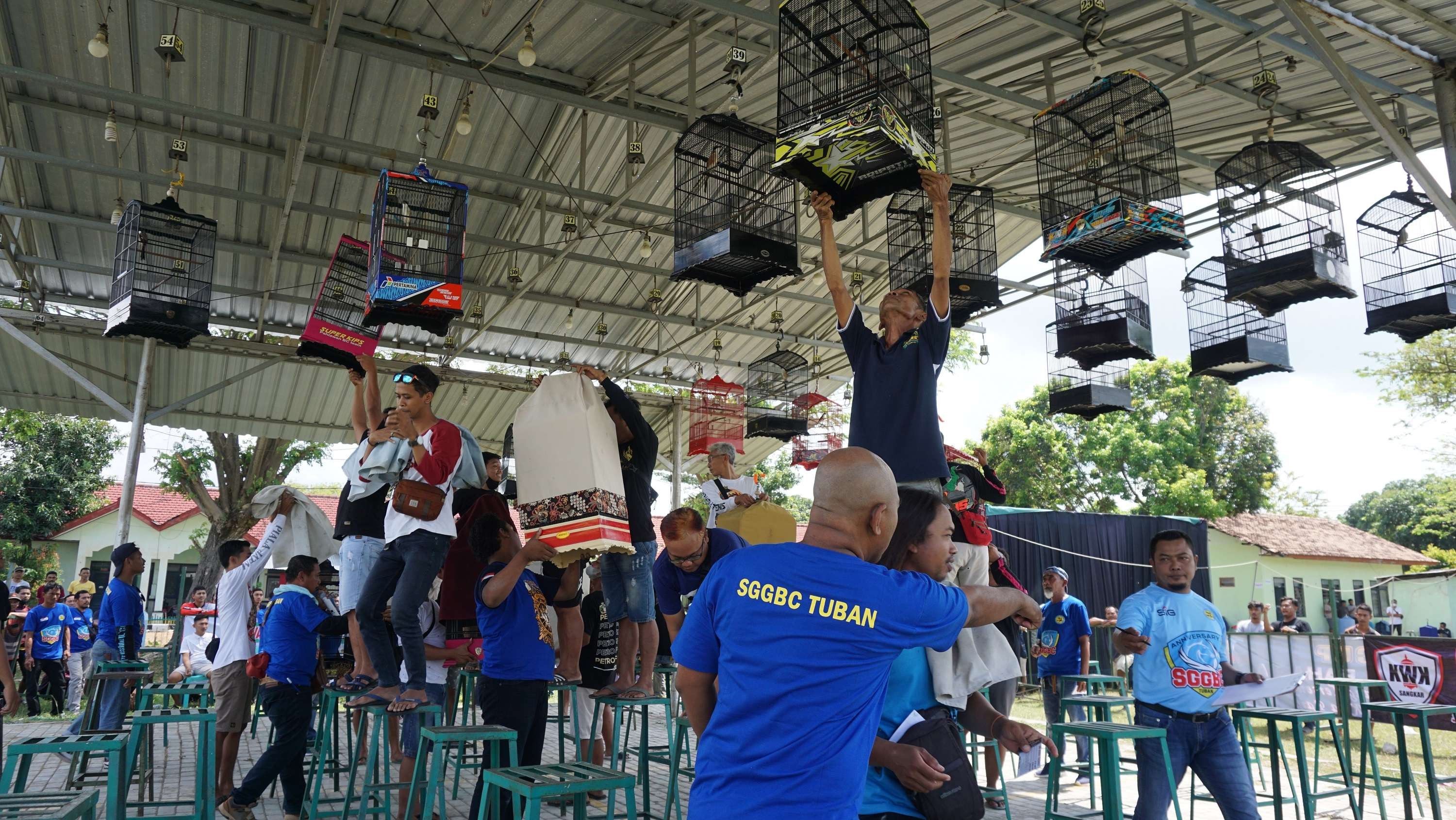 Pelaksanaan lomba kicau burung tingkat nasional yang diselenggarakan Semen Gresik Group Bird Club (SGGBC), tingkat nasional di Lapangan Kompi Senapan C, Jalan Sunan Kalijaga, Kabupaten Tuban, Minggu 7 Agustus 2022. (Foto: Dokumentasi SIG Tuban)