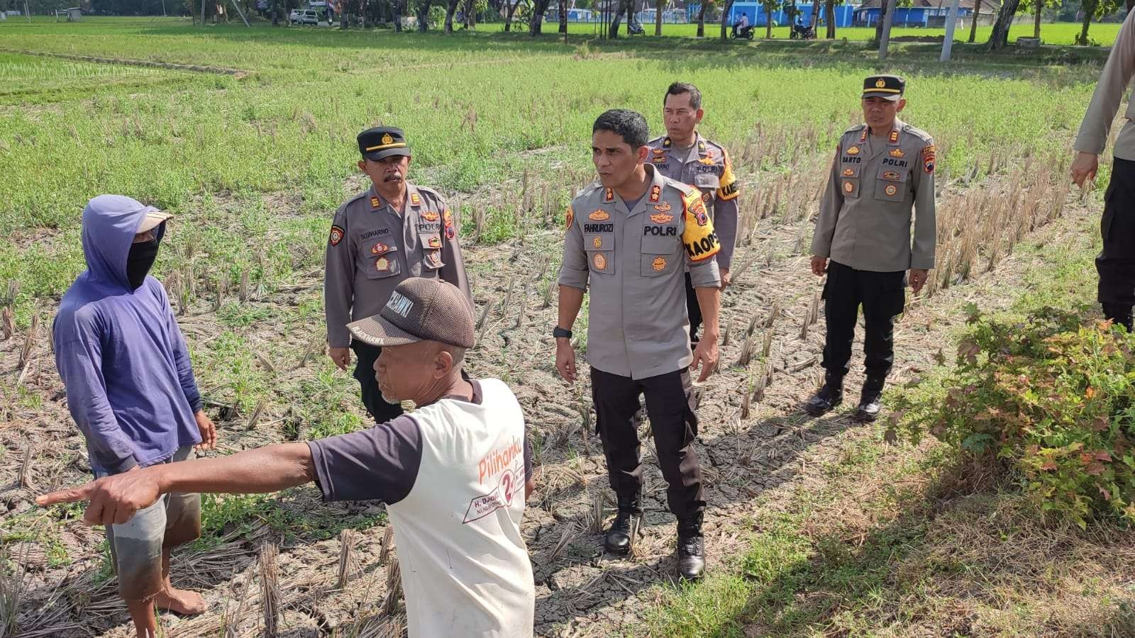 Kapolres Blora AKBP Fahrurrozi turun ke sawah bersama petani. (Foto: Dokumen Humas Polres Blora)