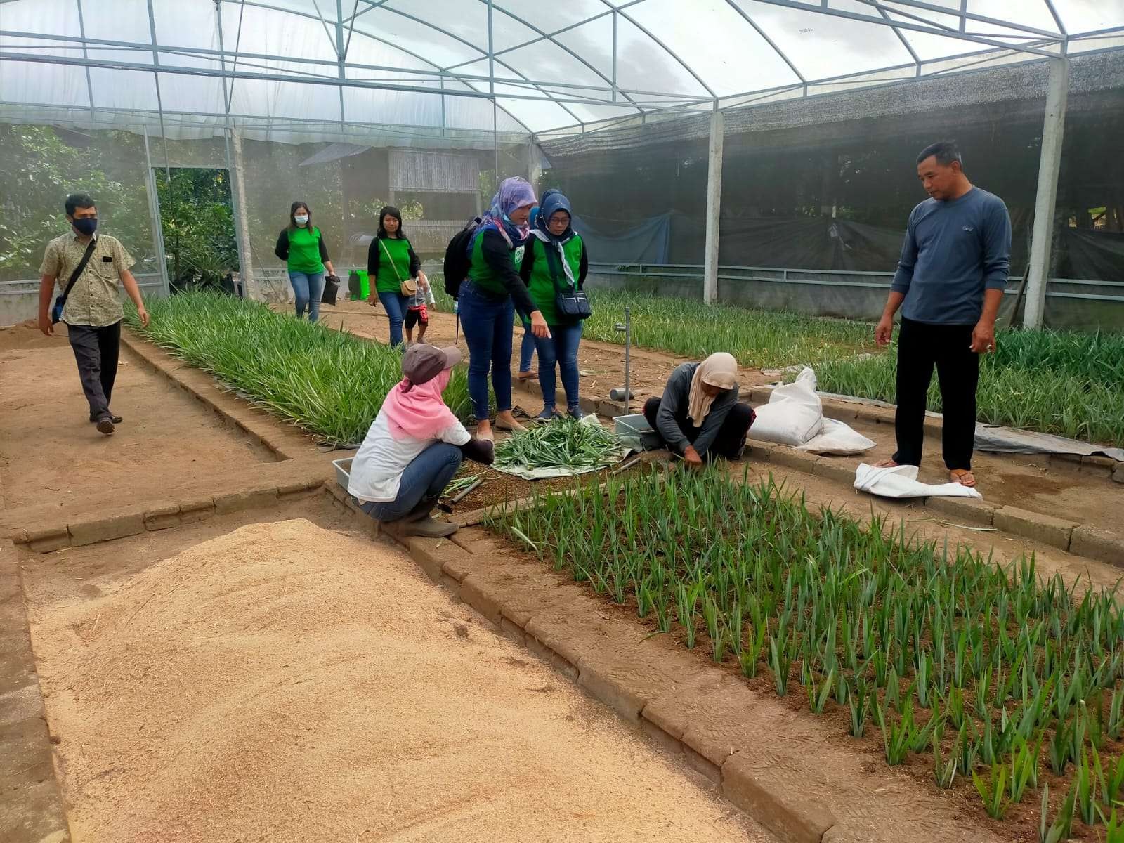 Bupati Kediri Hanindhito Himawan Pramono berkomitmen mengembangkan nanas unggulan Kabupaten Kediri. (Foto: Kominfo Kabupaten Kediri)