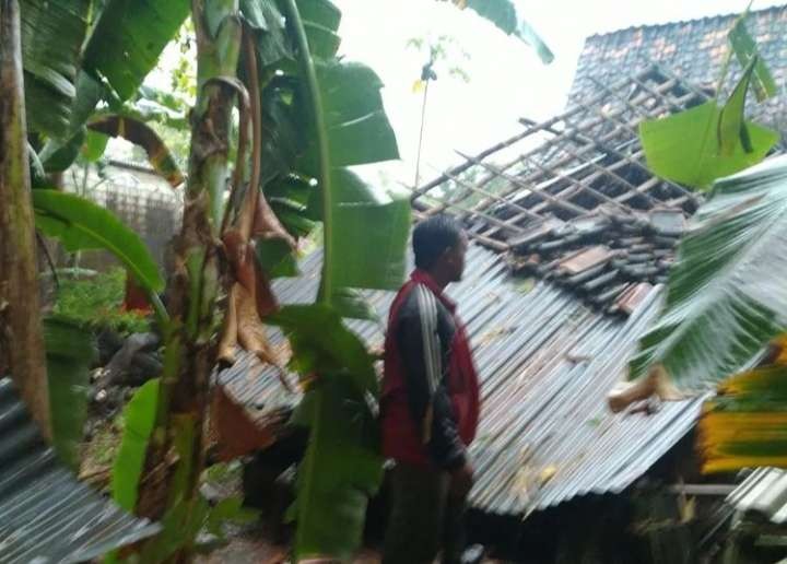 Rumah warga Tuban rusak tertimpa pohon tumbang. (Foto: Dokumentasi BPBD Tuban)