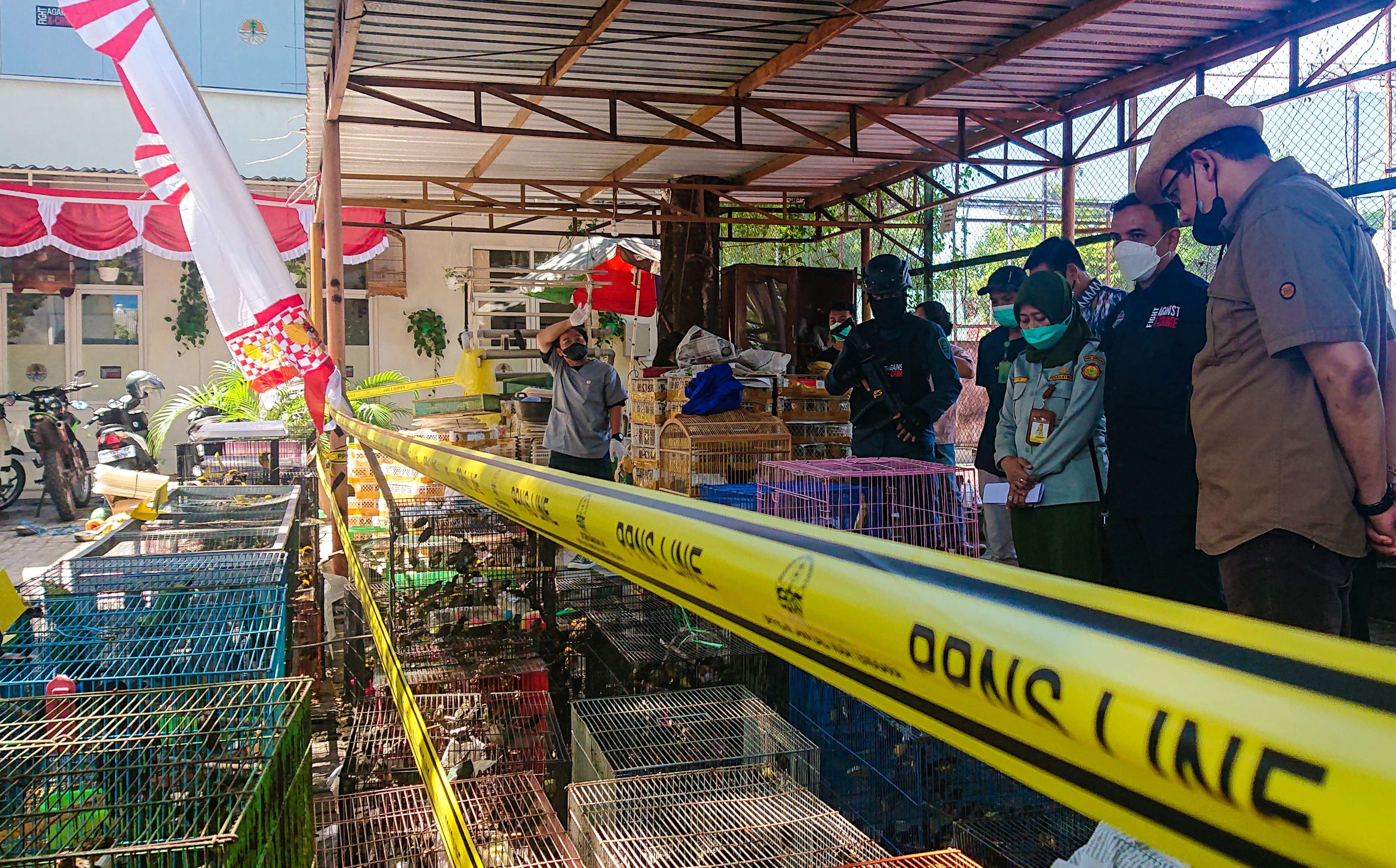 Ribuan burung liar saat diamankan Gakkum KLHK Jabalnusra. (Foto: Aini Arifin/Ngopibareng.id)